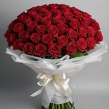 Букет 101 Красная роза Блэк Мэджик в Нечаевке